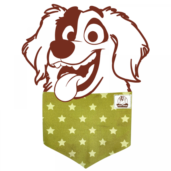 Forest green & olive stars dog bandana