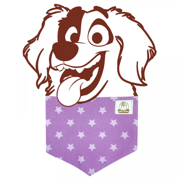 Purple & lilac stars dog bandana