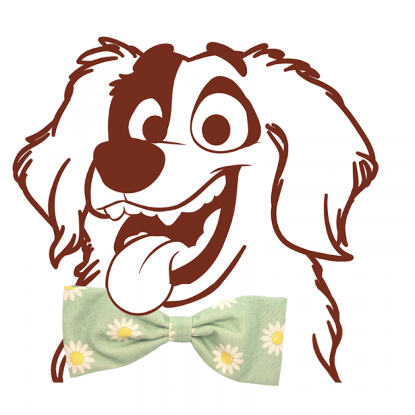 Daisy flower dog bow tie