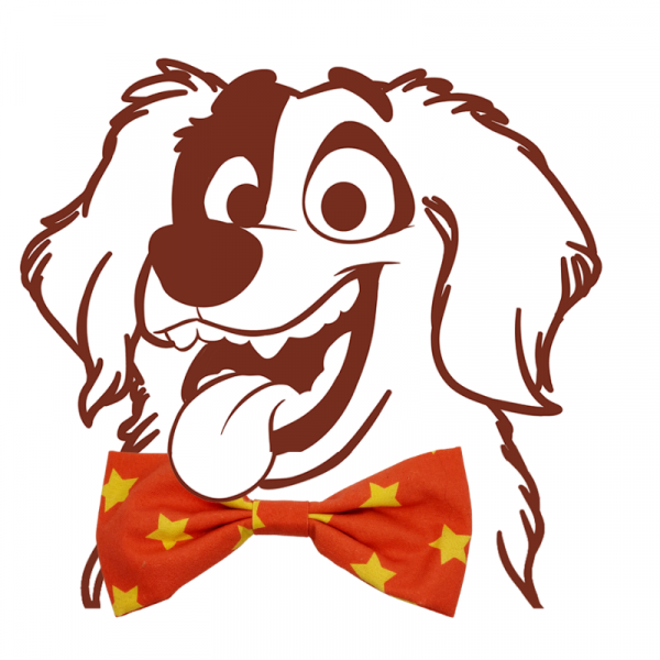 Red & yellow stars dog bow tie