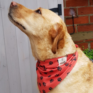 Red with black pawprints bandana 1